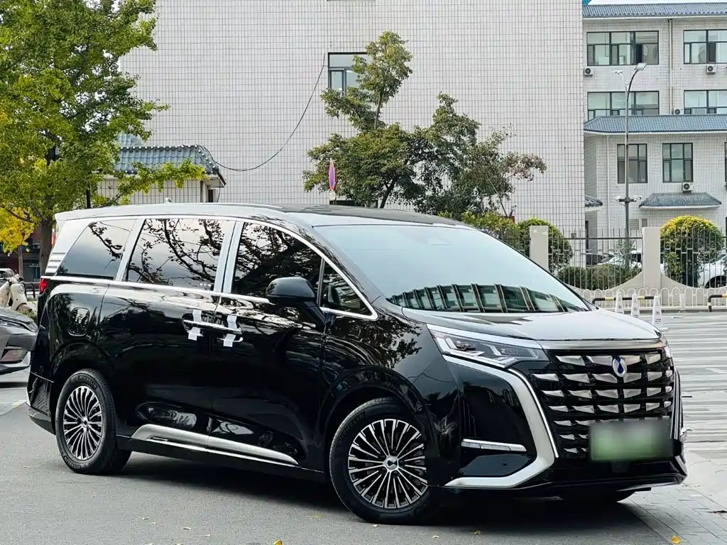 Denza Denza D9 — миниатюра 4