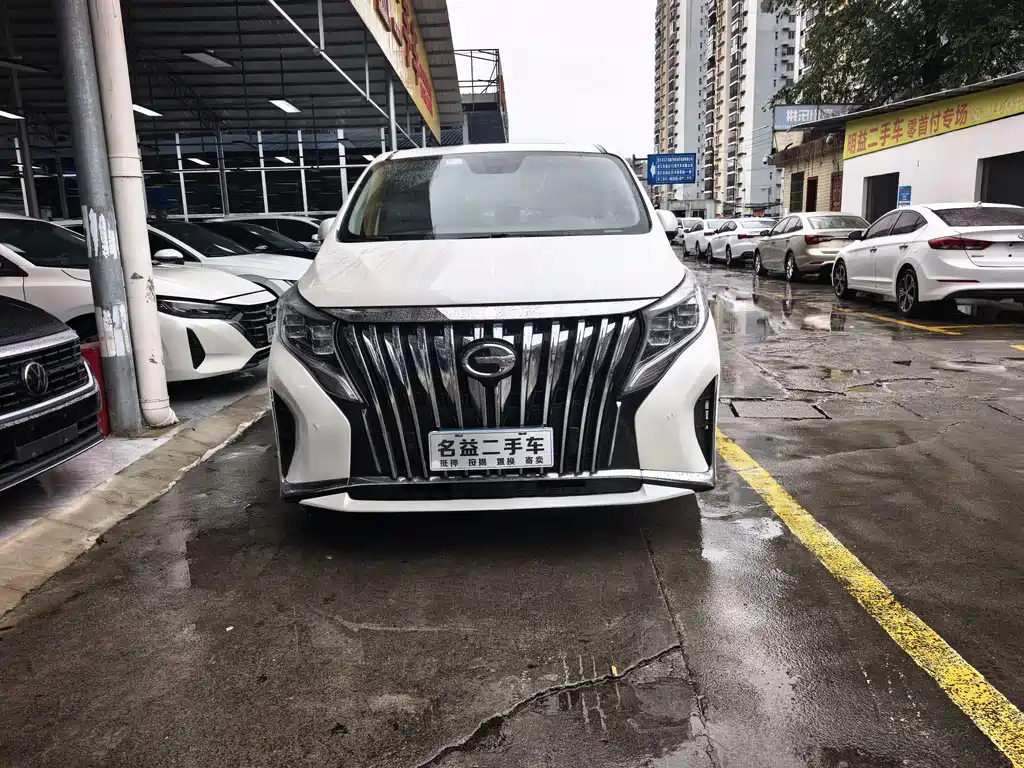 GAC Motor Trumpchi M8 — миниатюра 2