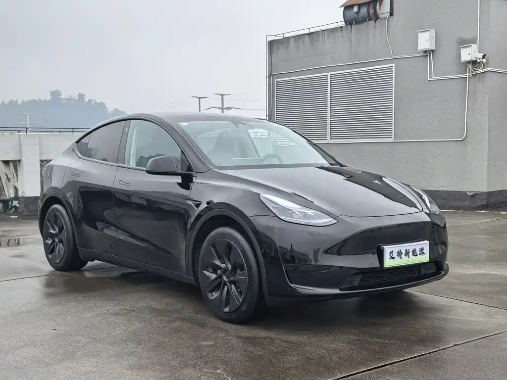 Tesla Model Y — миниатюра 4