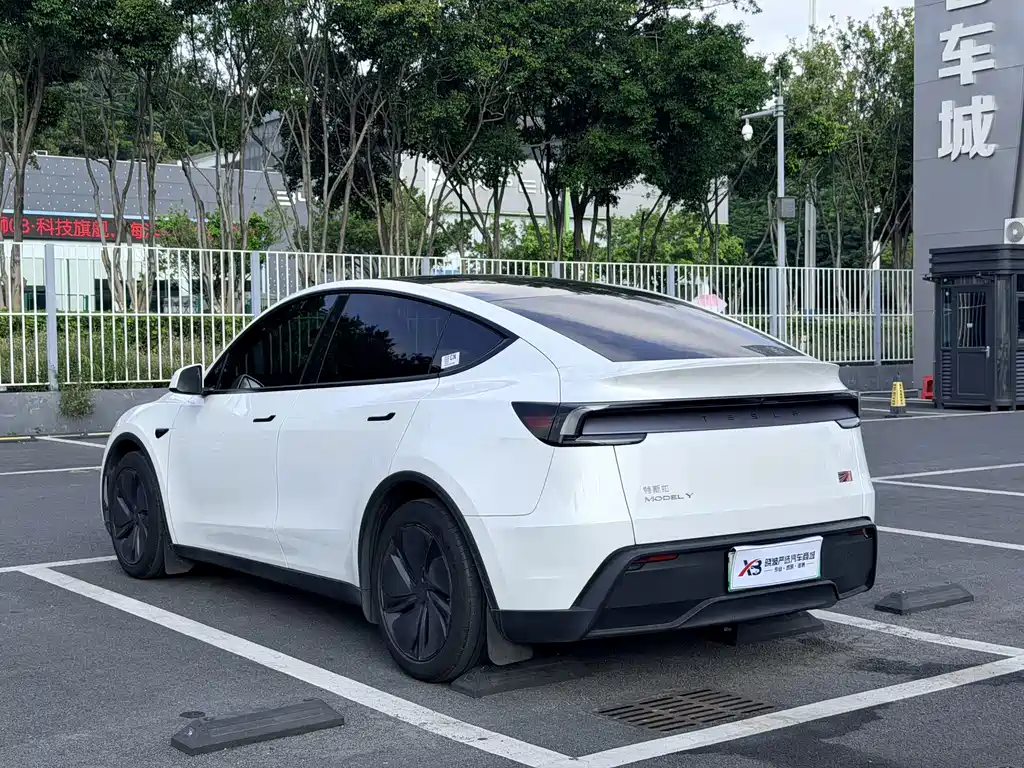 Tesla Model Y — миниатюра 14