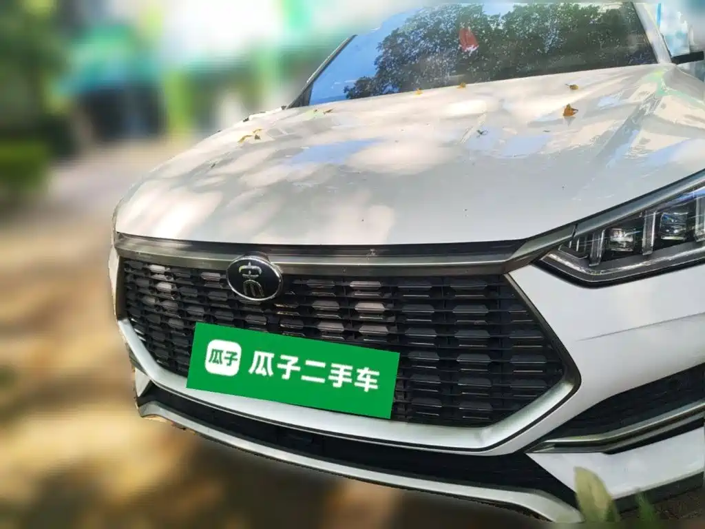 BYD PLUS — миниатюра 2