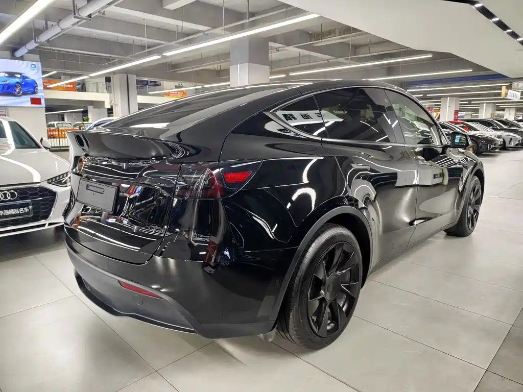Tesla Model Y — миниатюра 12