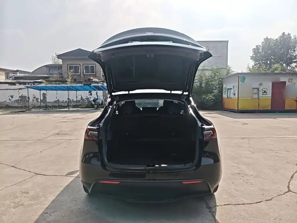 Tesla Model Y — миниатюра 19
