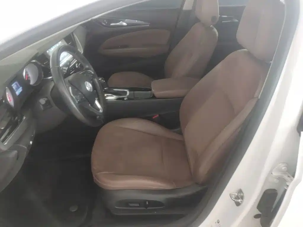 Buick Regal — миниатюра 15