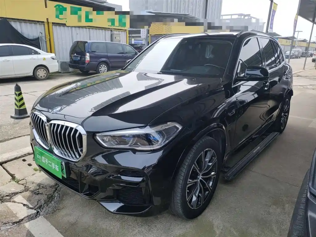 BMW X5 New Energy (Import) 2022