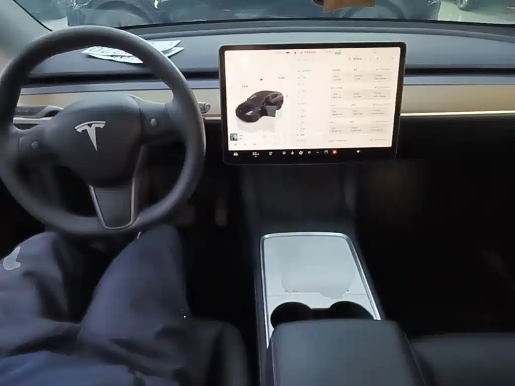 Tesla Model Y — миниатюра 10