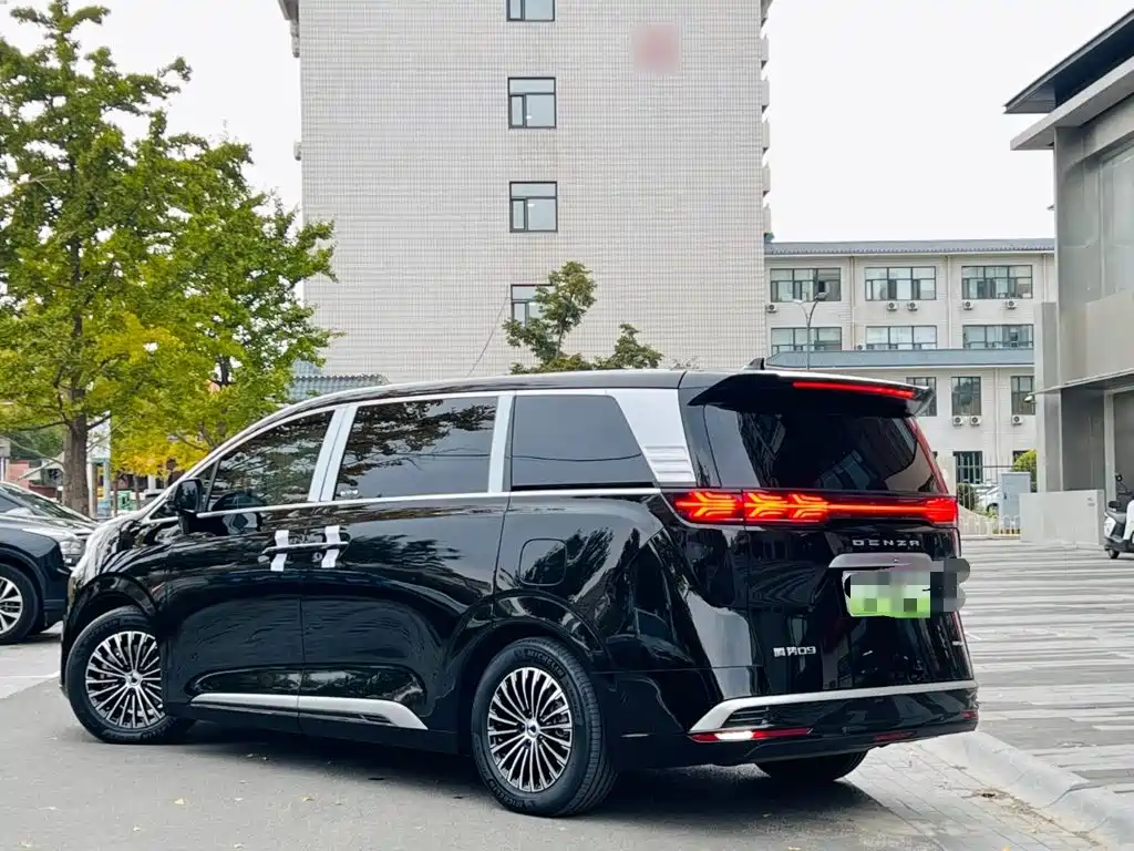 Denza Denza D9 — миниатюра 5