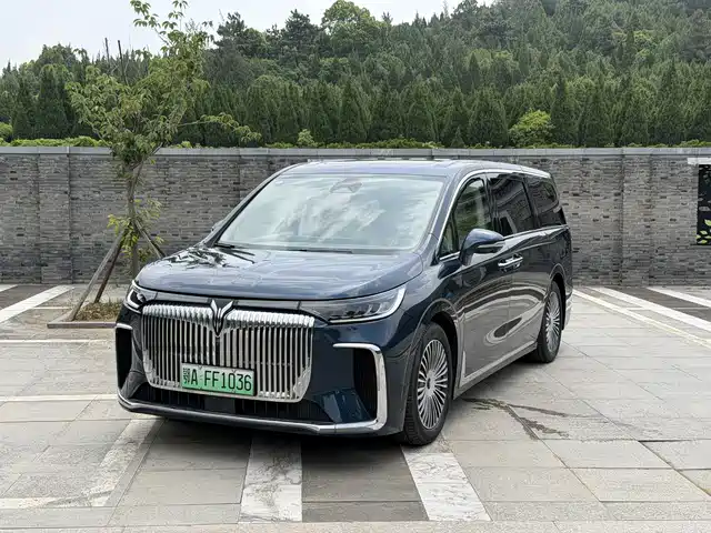 2024 Voyah Dream