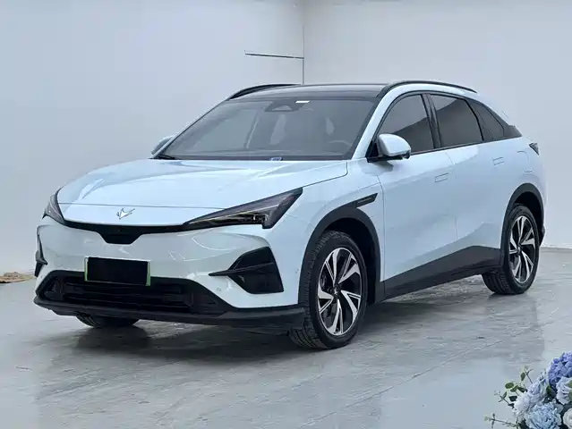 ARCFOX EXTREME FOX POLAR FOX ALPHA T5 2024