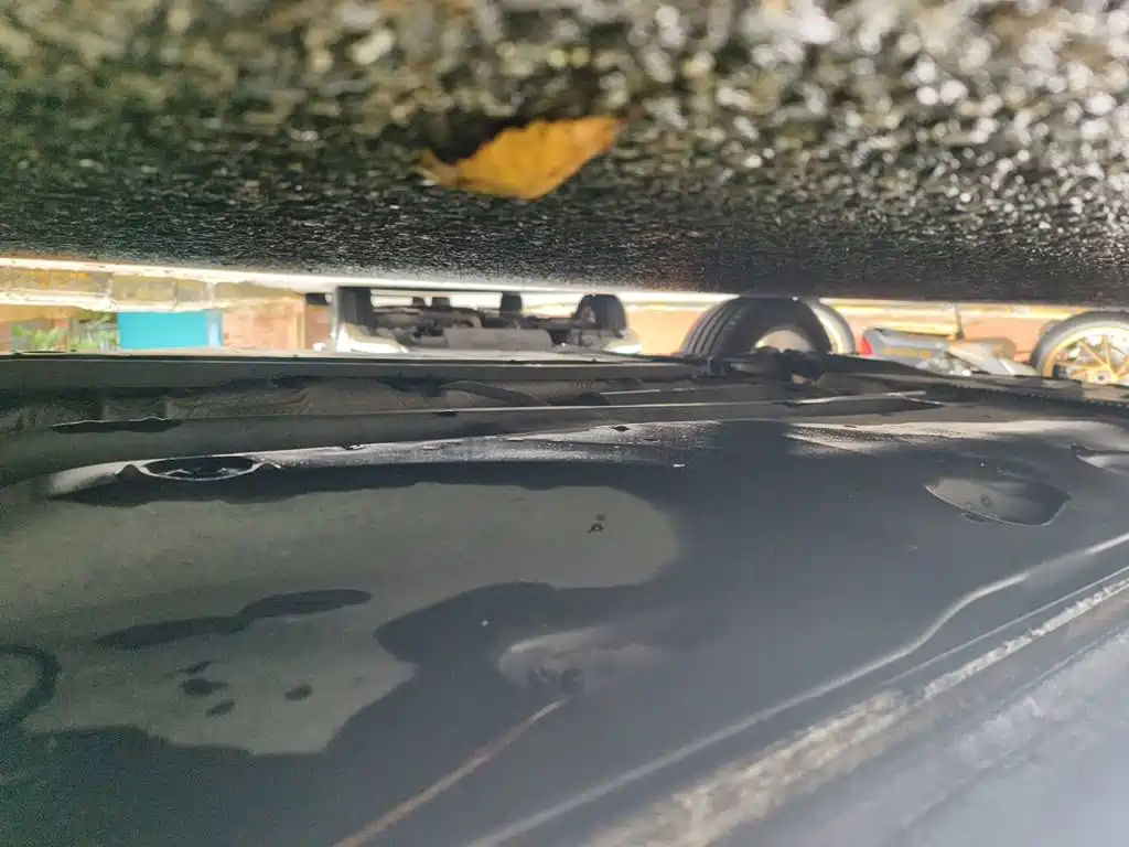 Volkswagen Beetle — миниатюра 17