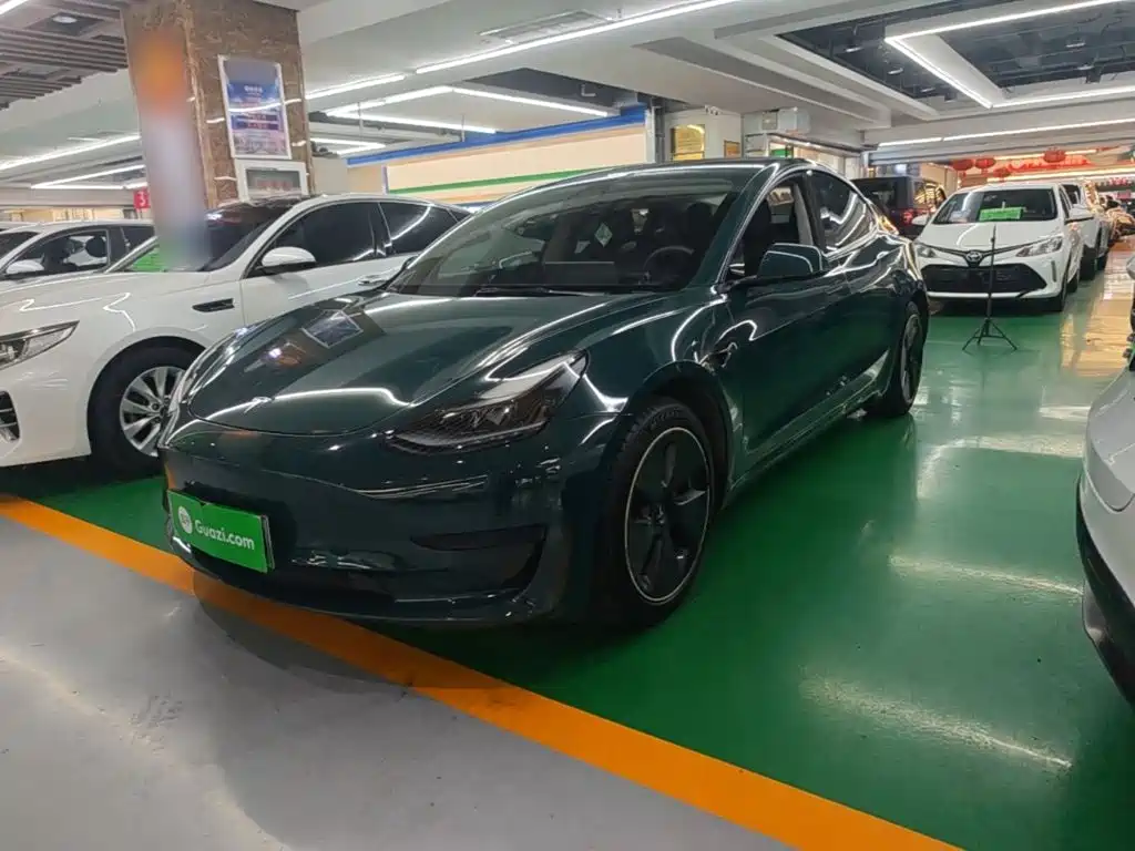Tesla Model 3 2021 Standard Range RWD Upgrade Edition 3D6