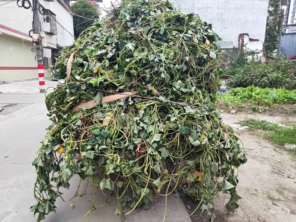 Great Wall Fengjun 5 — миниатюра 15