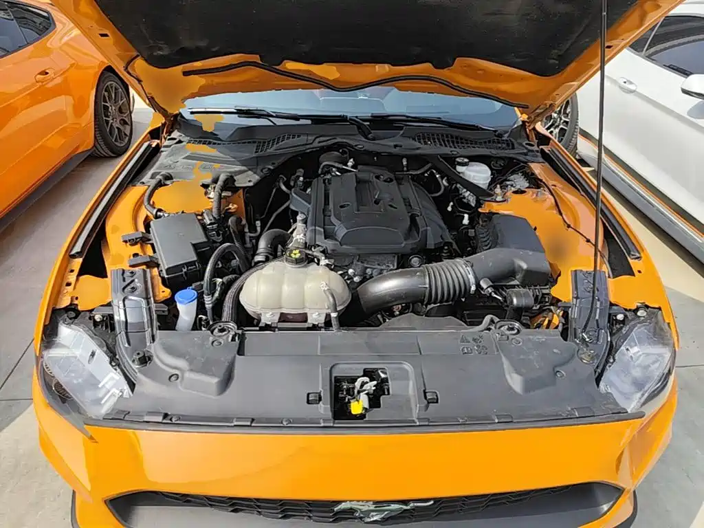 Ford Mustang — миниатюра 20