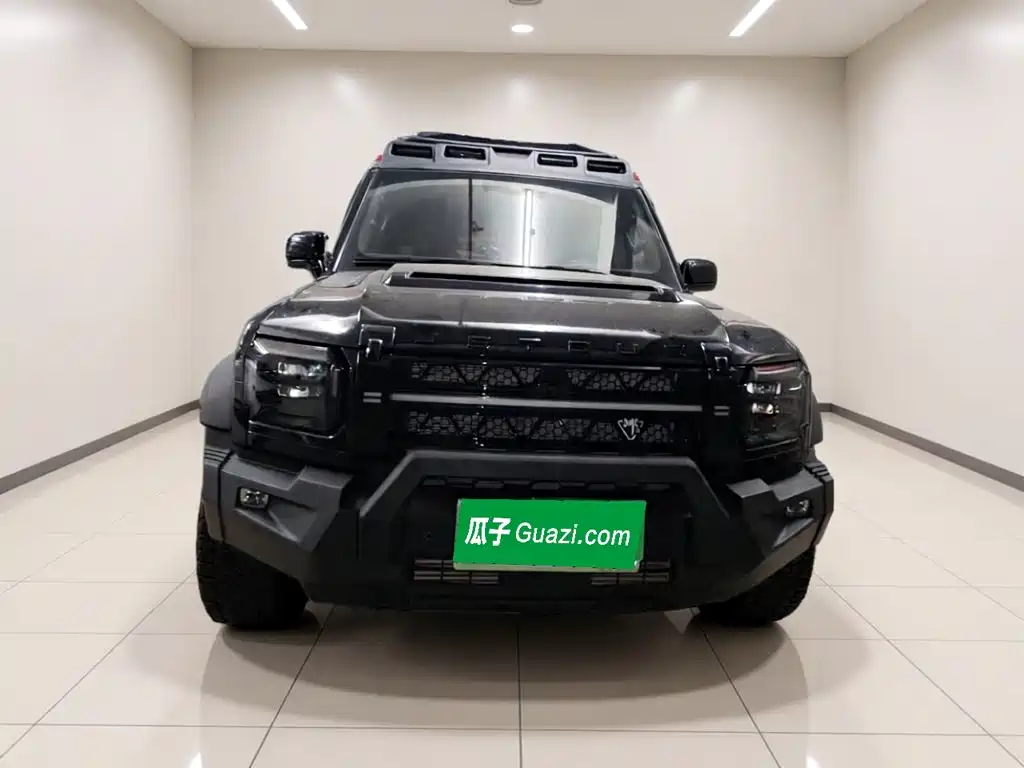 Jetour Traveller — миниатюра 2