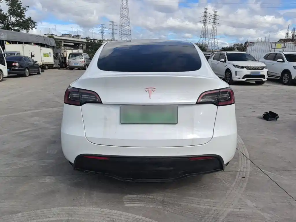 Tesla Model Y — миниатюра 6