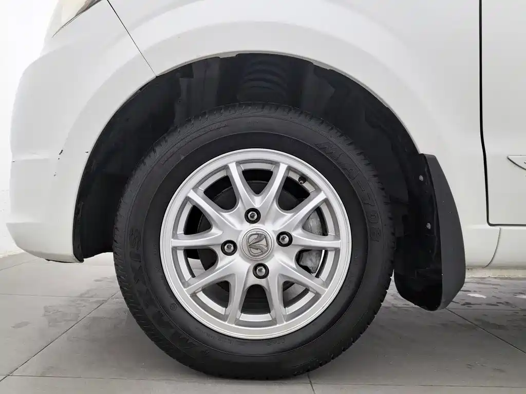 BAW Weiwang M20 — миниатюра 17