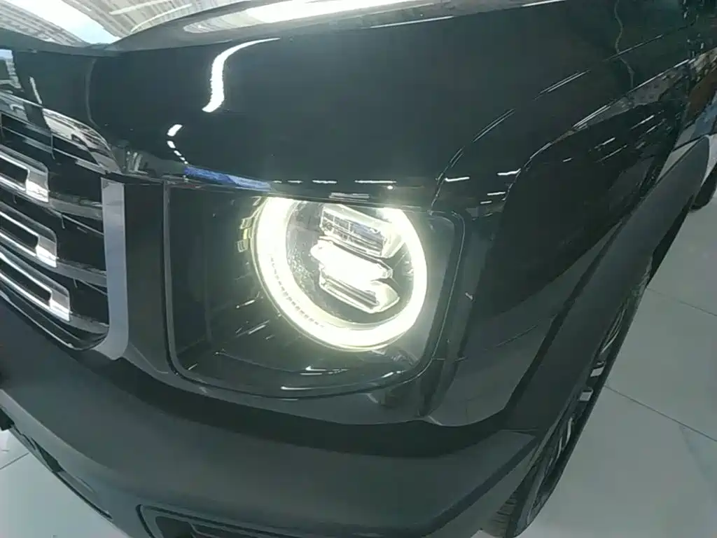 Haval 长城大狗 — миниатюра 24