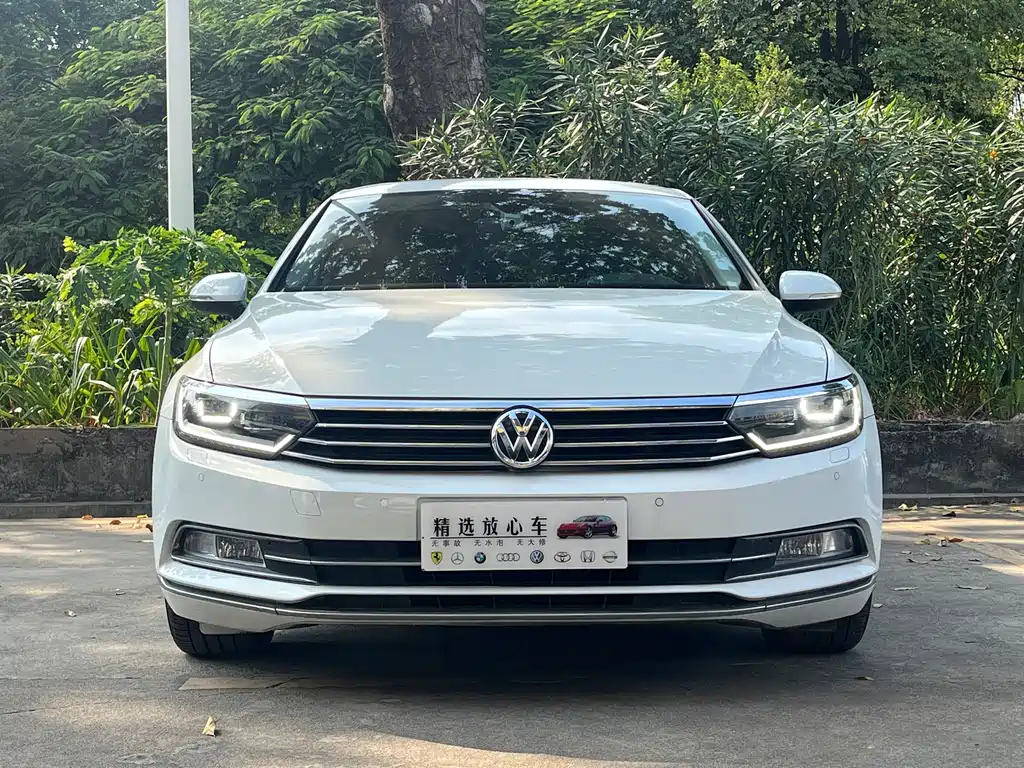 Volkswagen Magotan — миниатюра 2