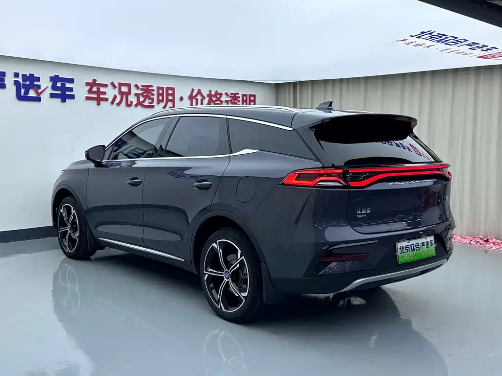 BYD Tang New Energy — миниатюра 24