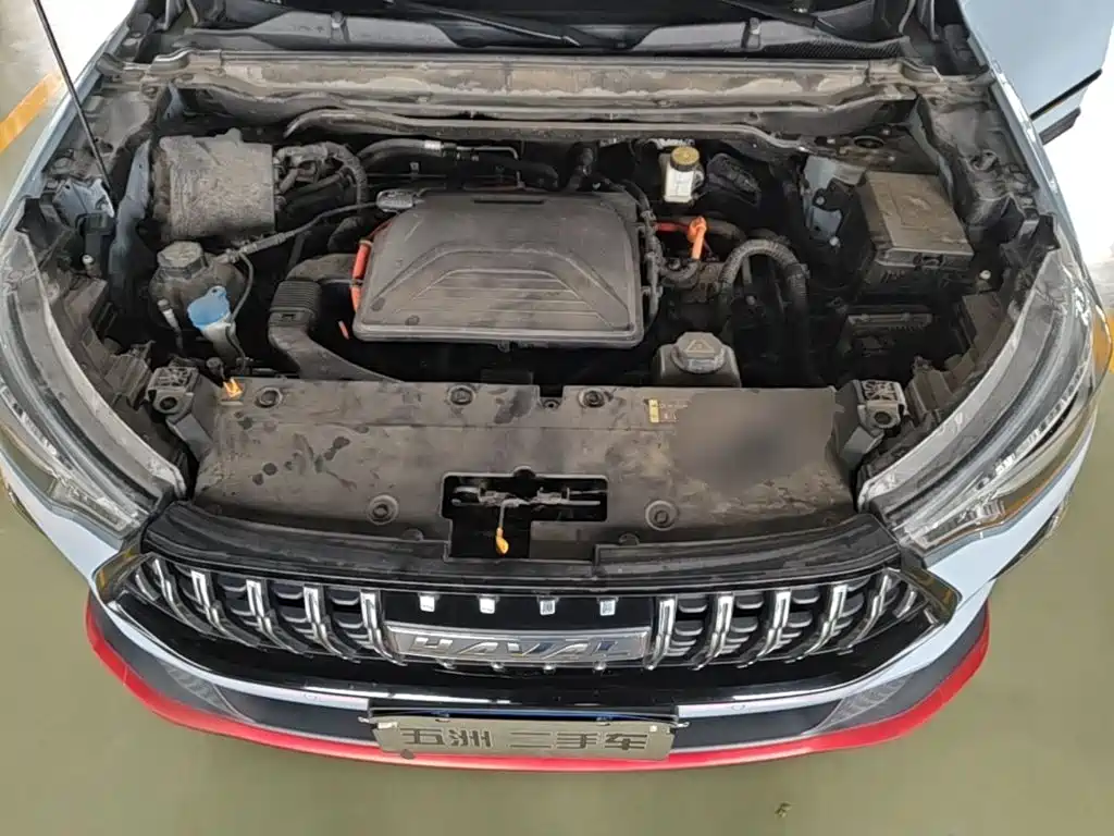 Haval Chitu — миниатюра 25