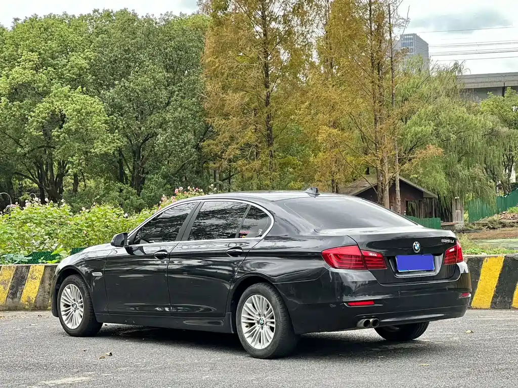 BMW 5 Series — миниатюра 4