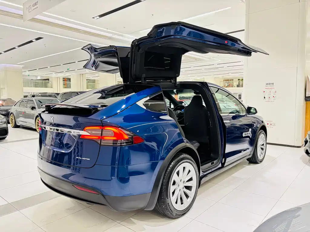 Tesla Model X — миниатюра 4