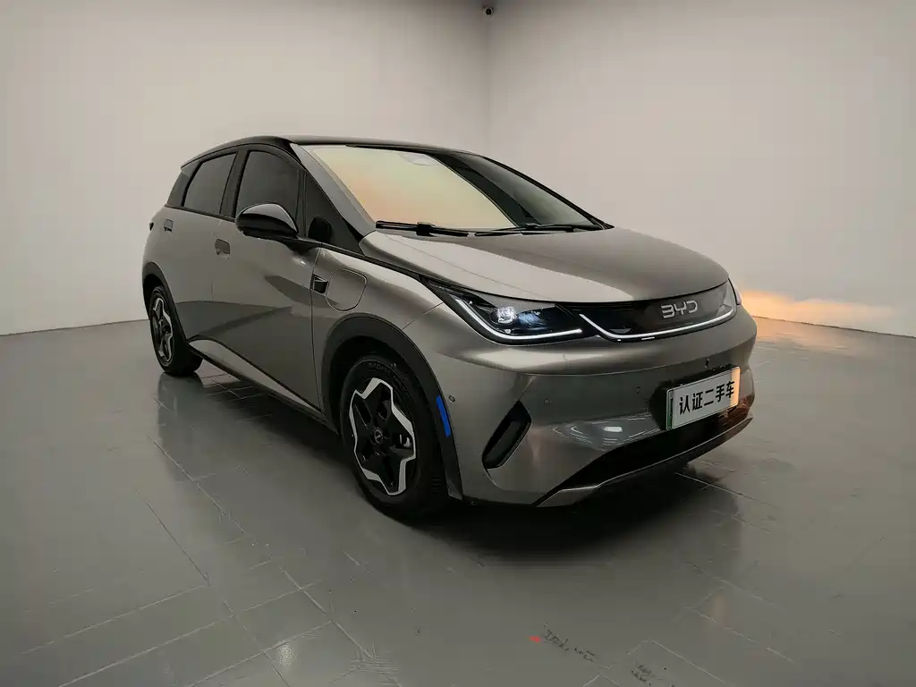 BYD Dolphin — миниатюра 3