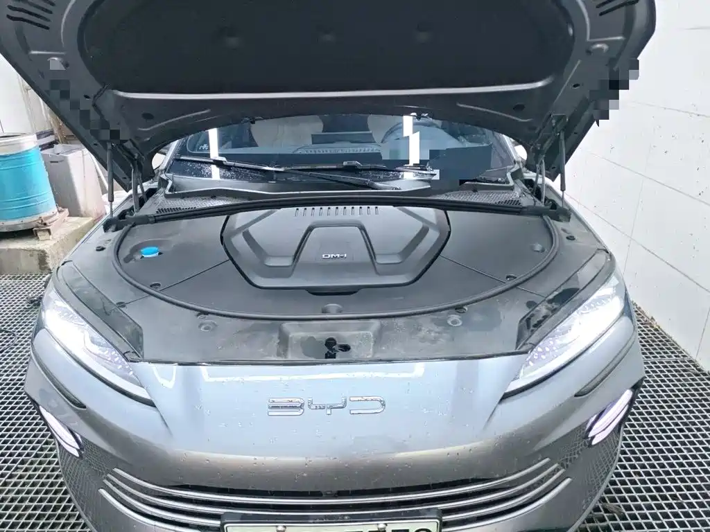 BYD PLUS New Energy — миниатюра 16