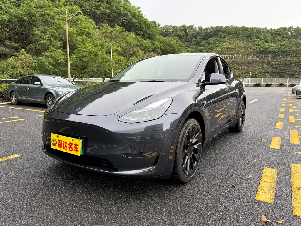 Tesla Model Y — миниатюра 2