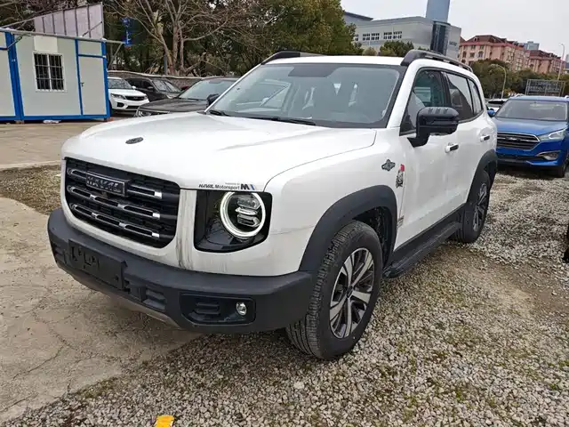 2021 Haval Big Dog