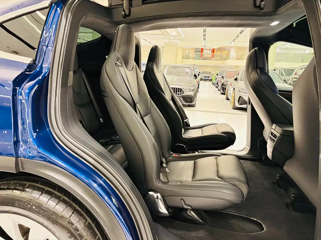 Tesla Model X — миниатюра 9