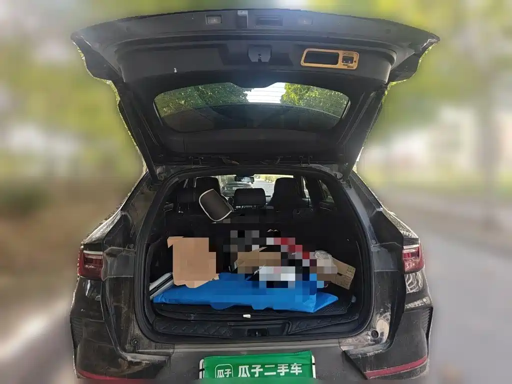 BYD PLUS New Energy — миниатюра 15