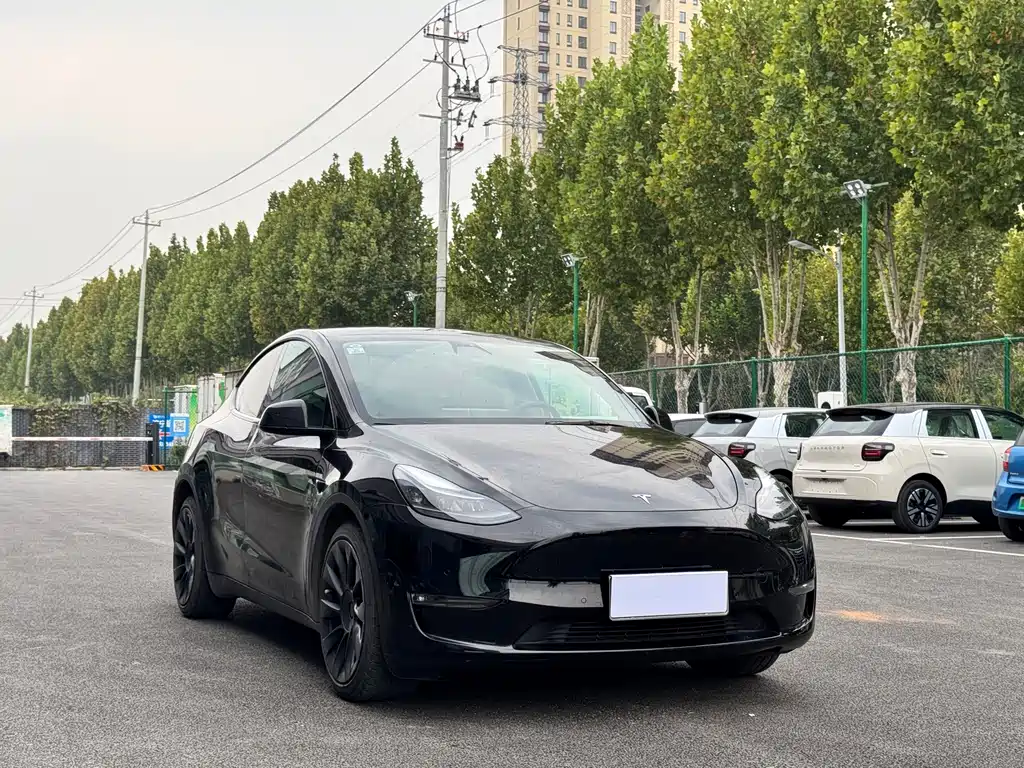 Tesla Model Y — миниатюра 2