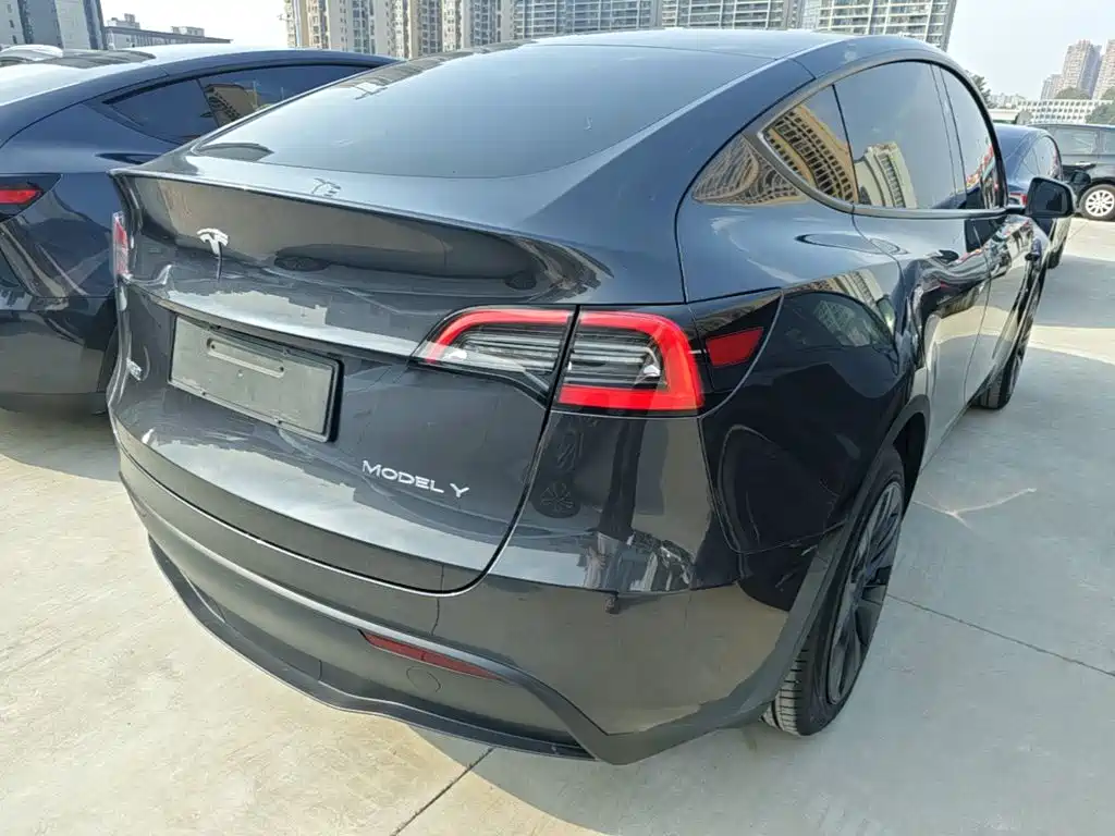 Tesla Model Y — миниатюра 7
