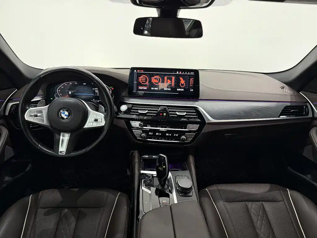 BMW 5 SERIES