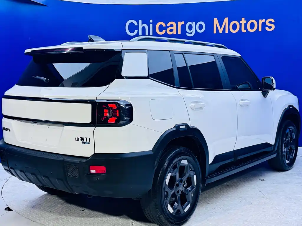 Shanhai Shanhai T1 — миниатюра 9
