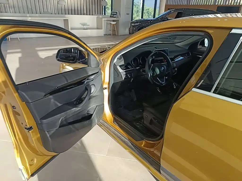 BMW X2 (Import) — миниатюра 21