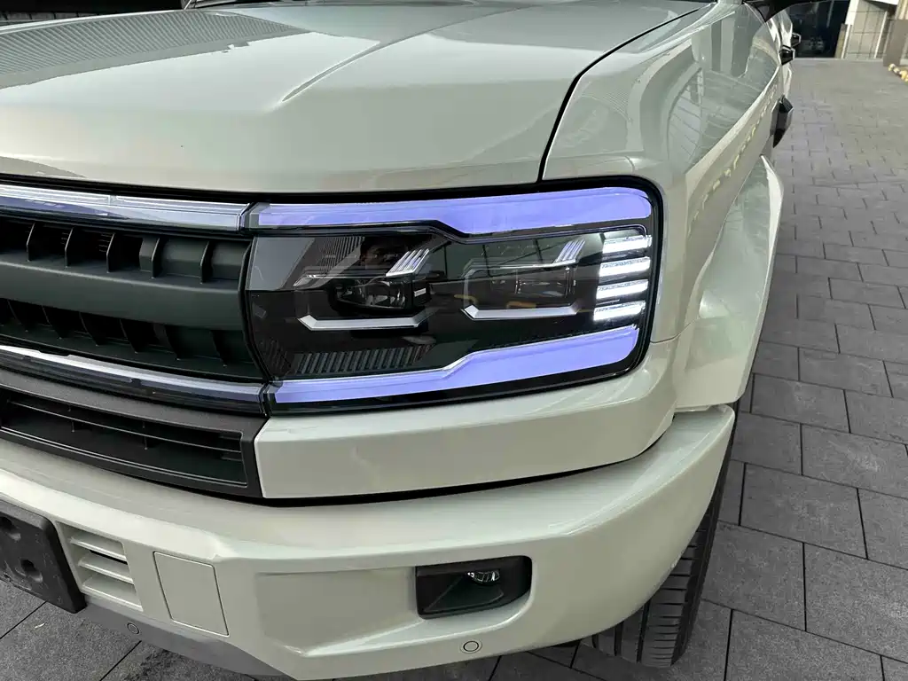 FANG CHENG BAO LEOPARD 5