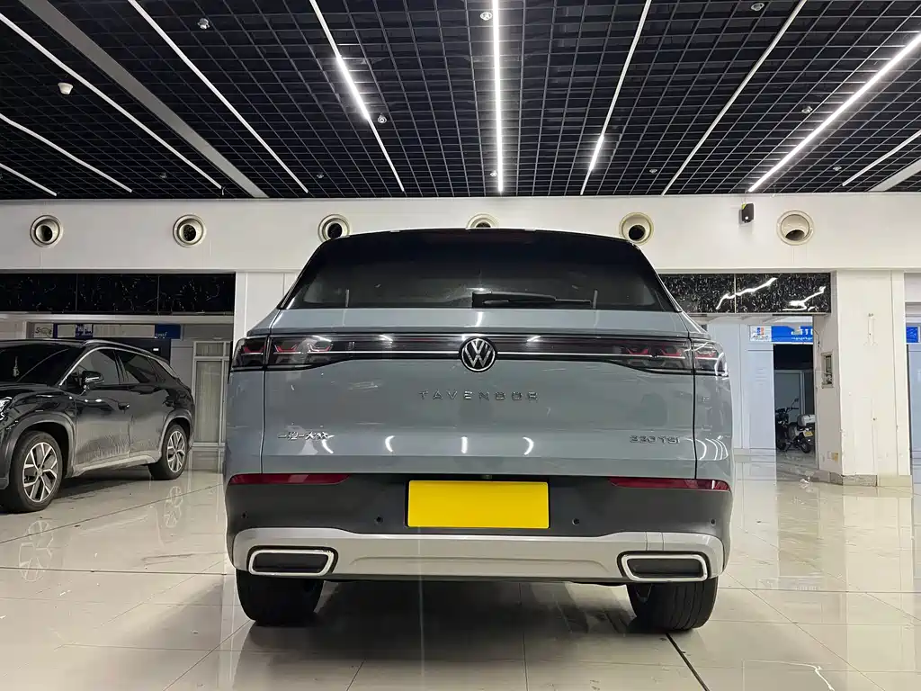 Volkswagen Tavendor — миниатюра 16