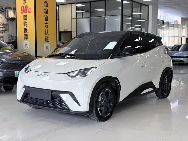 2023 BYD Seagull
