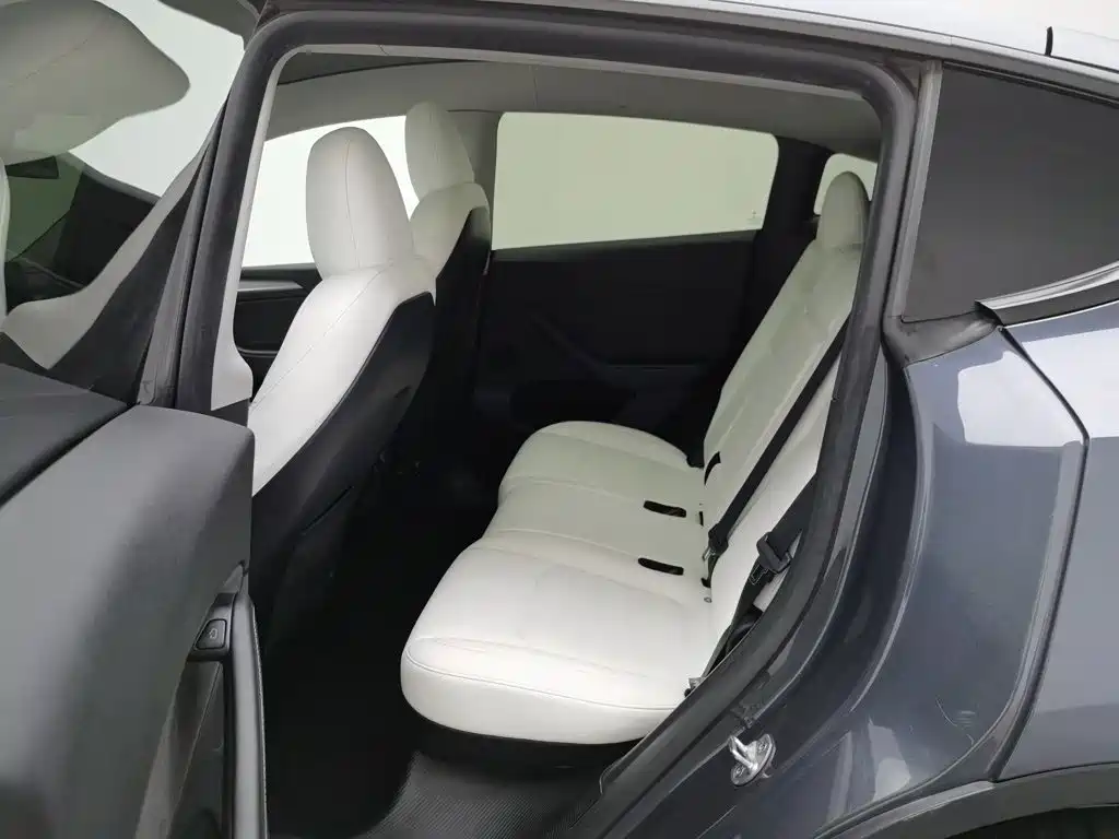 Tesla Model Y — миниатюра 15