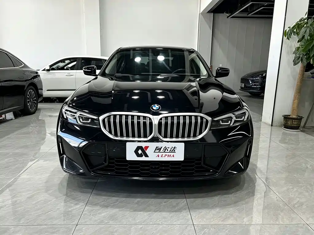 BMW 3 Series — миниатюра 2