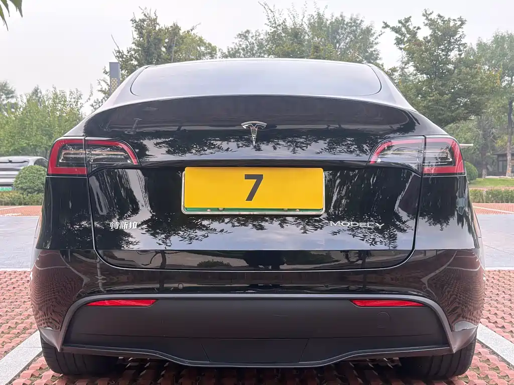 Tesla Model Y — миниатюра 5