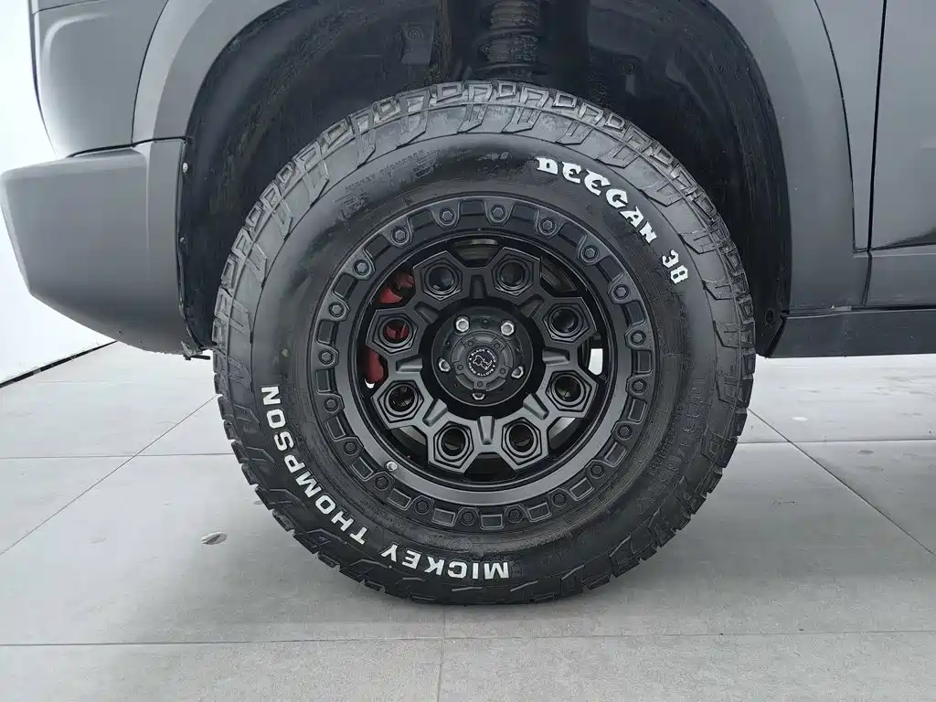 Haval Big Dog — миниатюра 17