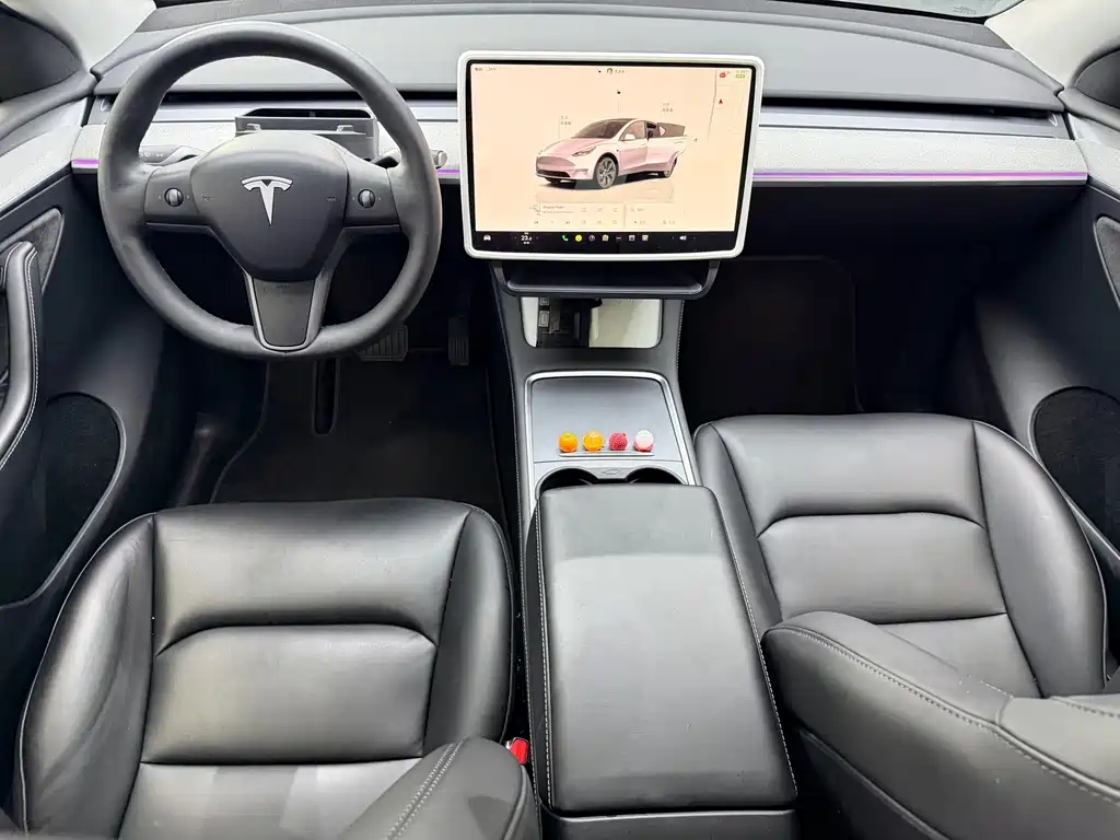 Tesla Model Y — миниатюра 12