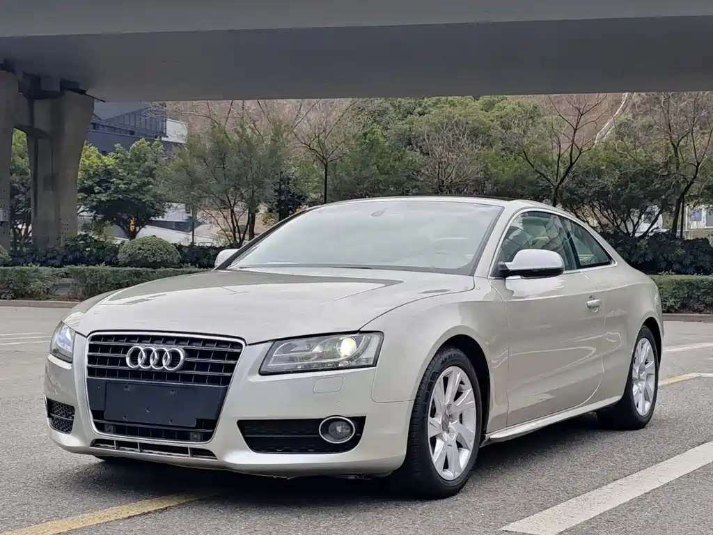 Audi A5 (Import) 2010