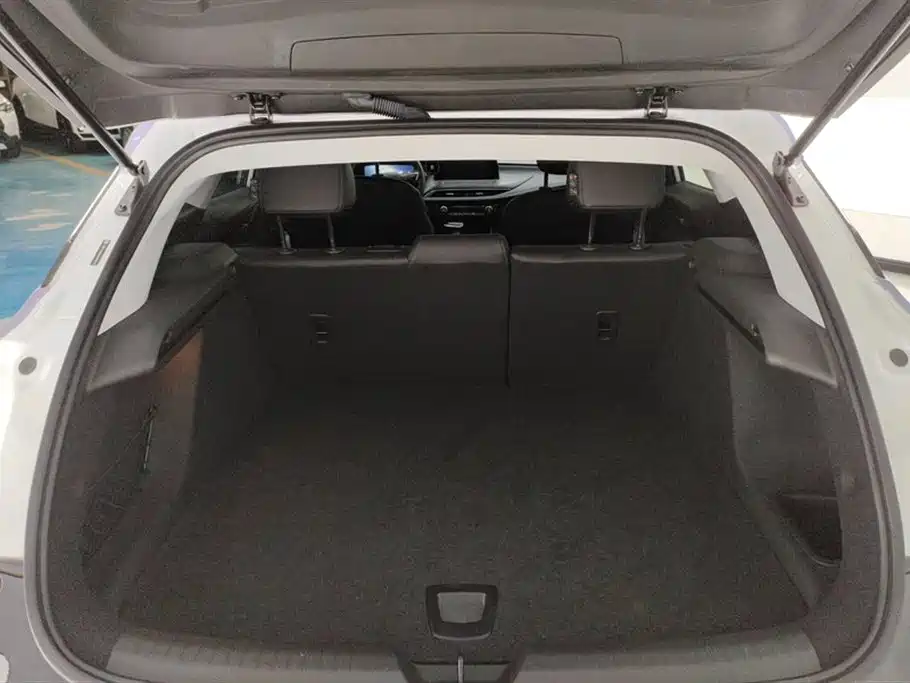 BUICK SLIGHTLY BLUE 6