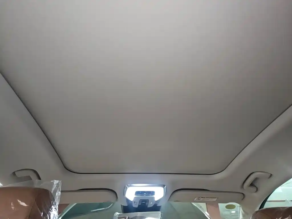 Hongqi Hongqi H9 — миниатюра 18