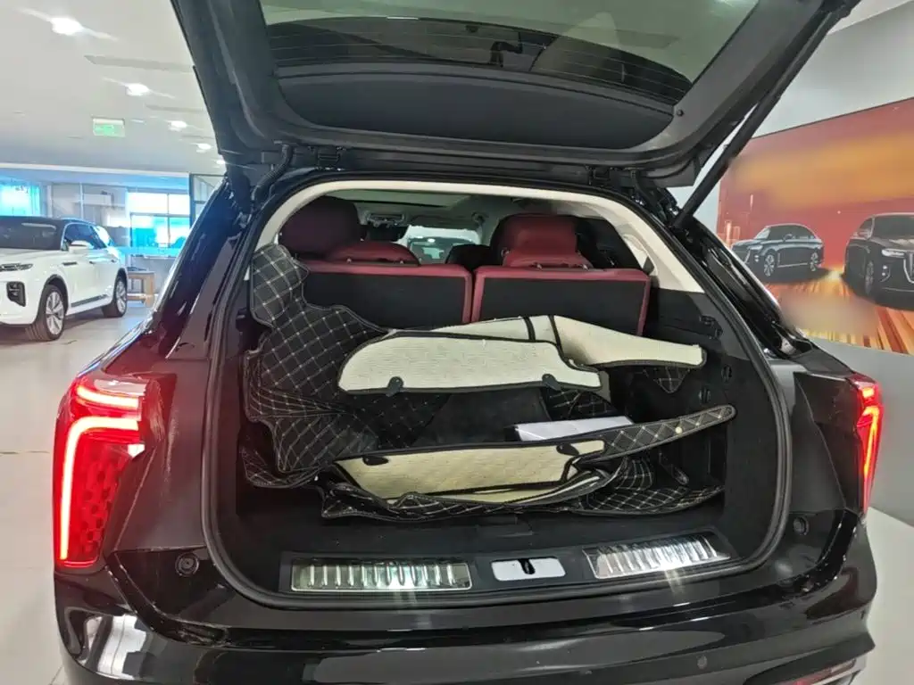 Hongqi Hongqi E-HS9 — миниатюра 19