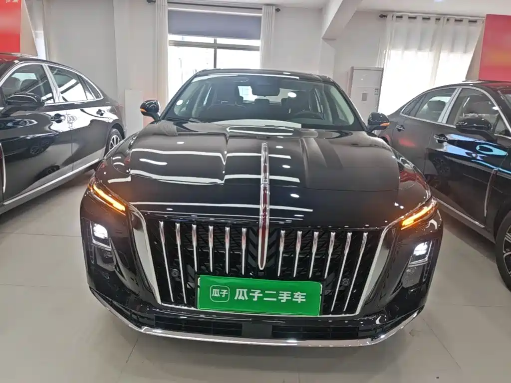 Hongqi Hongqi H5 PHEV — миниатюра 3